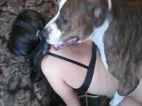 Dog eating and fucking the pussy of amateur beastie gal
